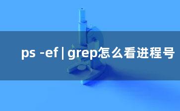 ps -ef | grep怎么看进程号